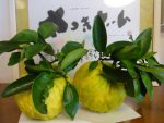 秋の雰囲気・・・